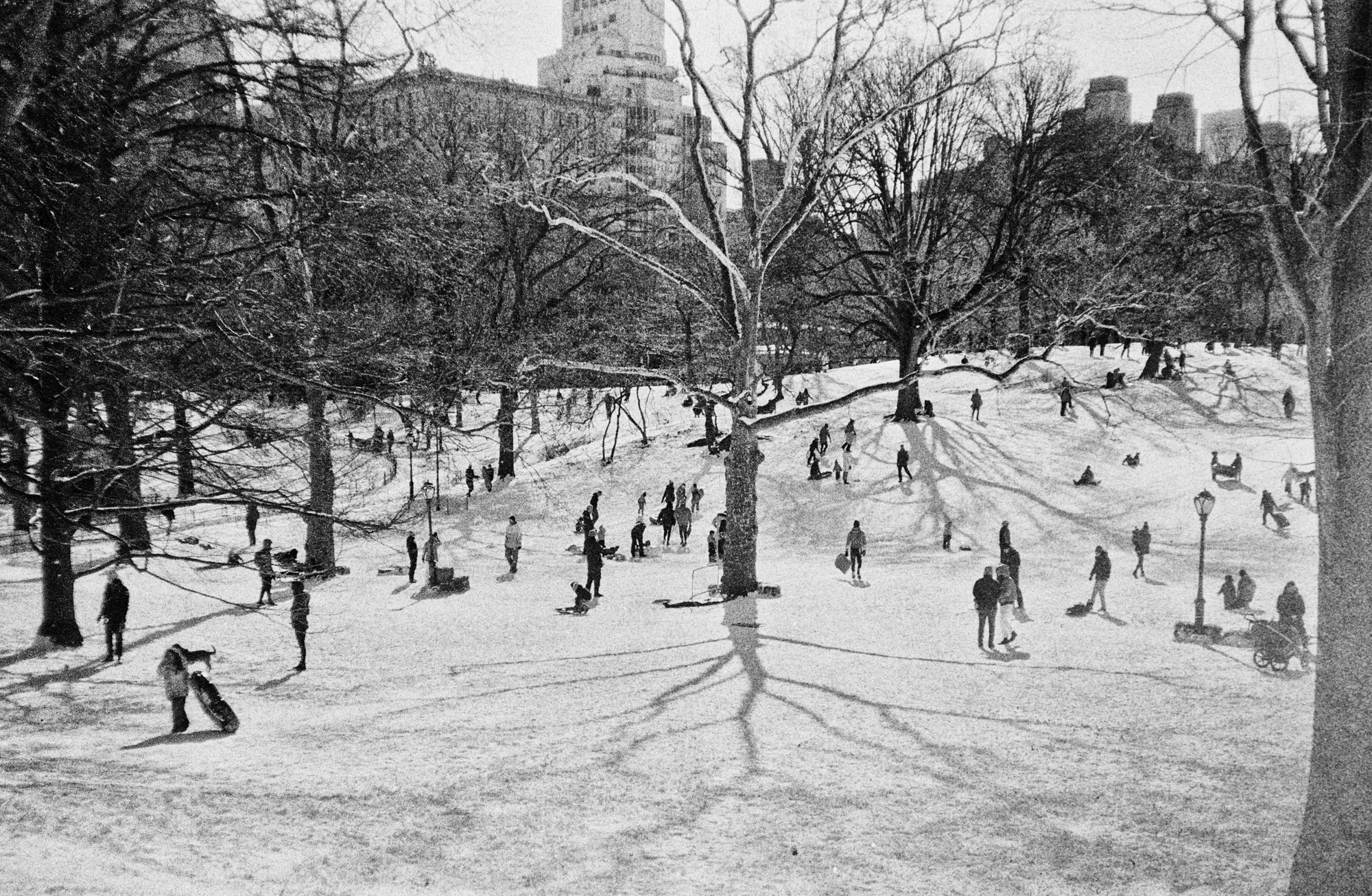 Central Park