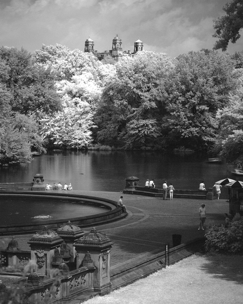 Central Park