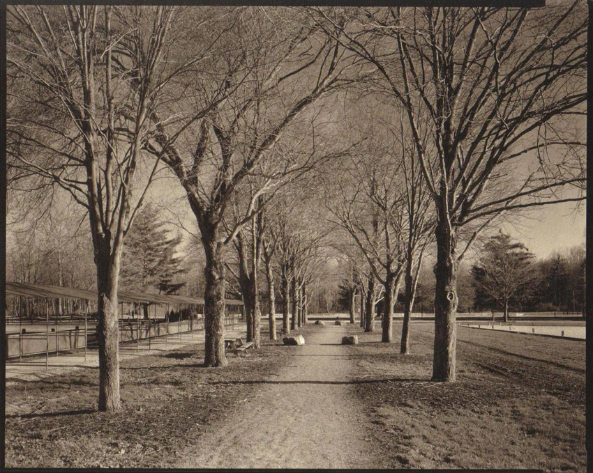 Chagrin Falls Spring