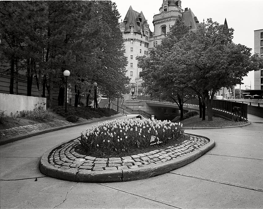 Chateau and Tulips