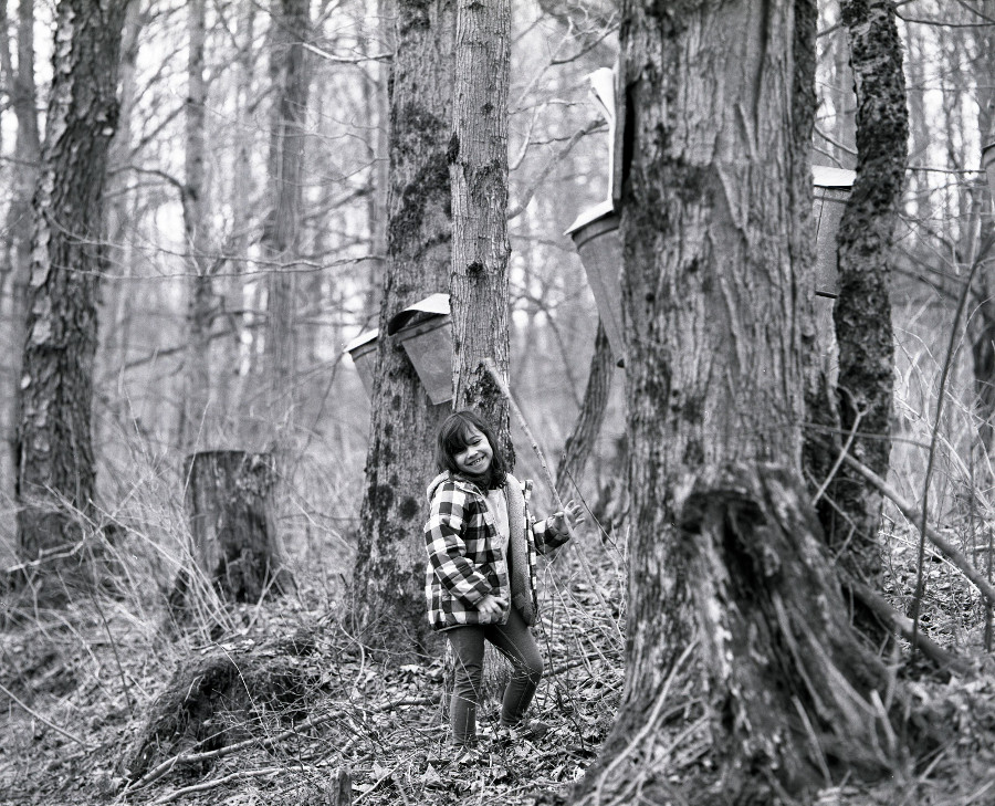 Checking Sap