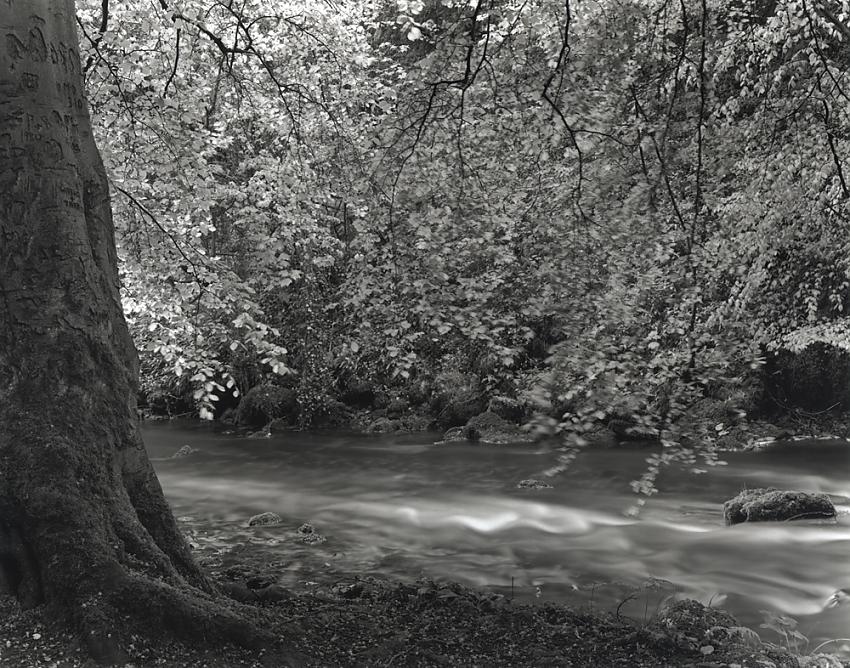 Chee Dale