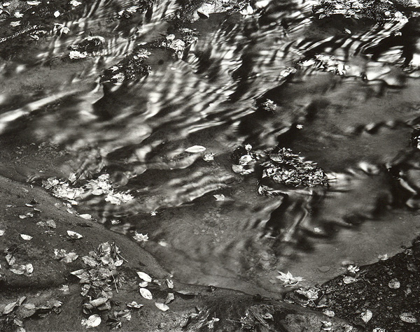 Cheeseman Run