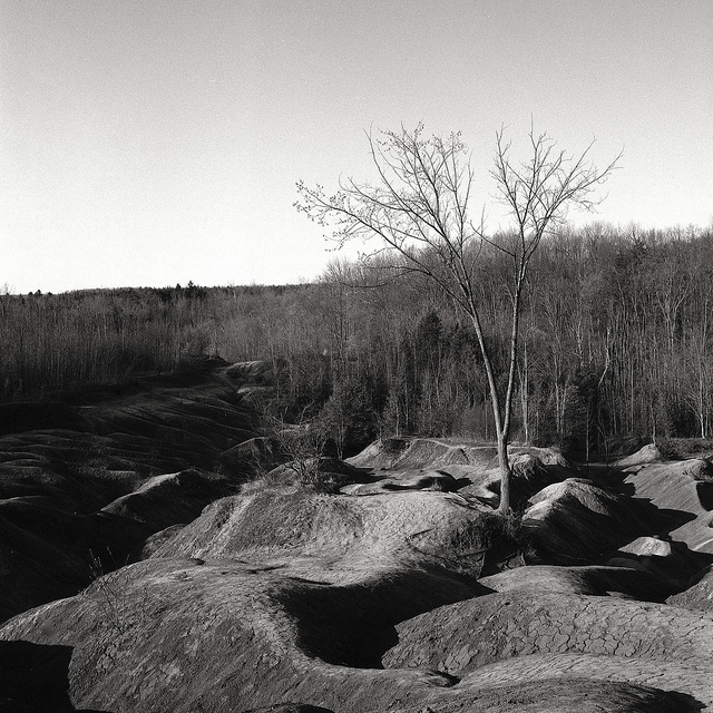 Cheltanham Badlands.