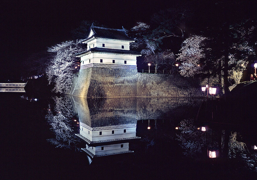 Cherry Blossoms and Shibata Castle