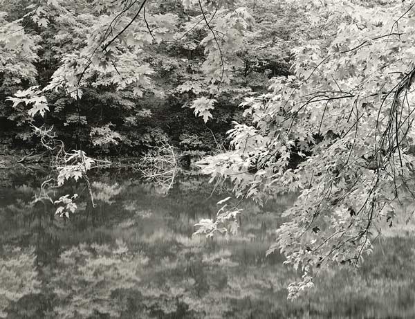Cherry Lake at Dusk