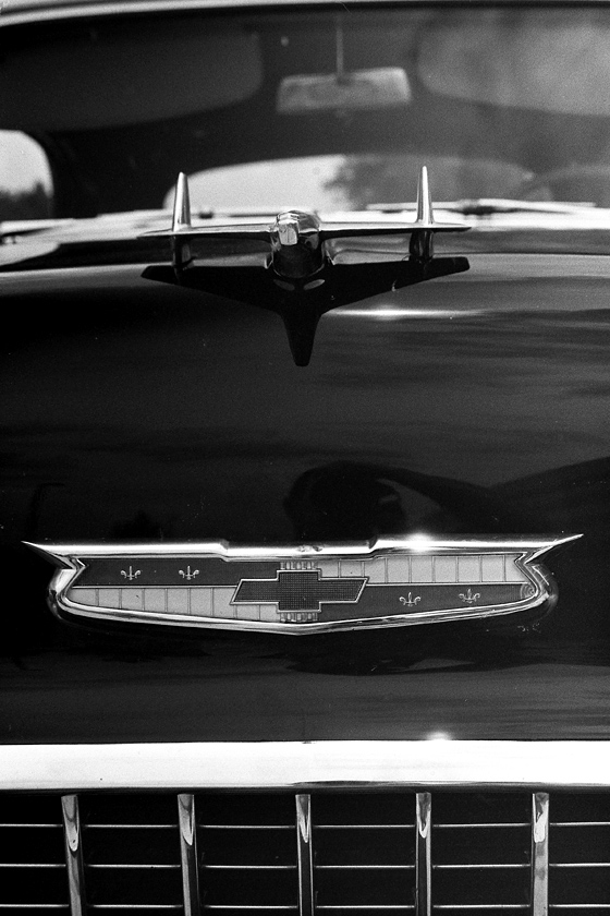 Chevy in your face
