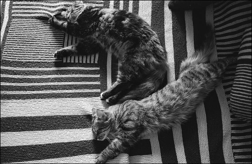 Chillin'
