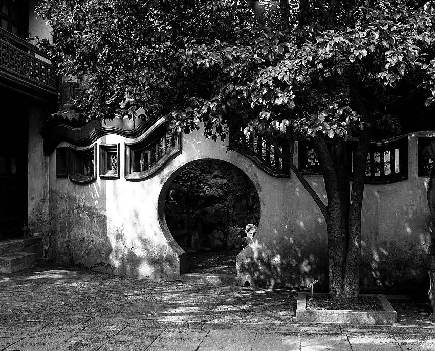 Chinese Gate