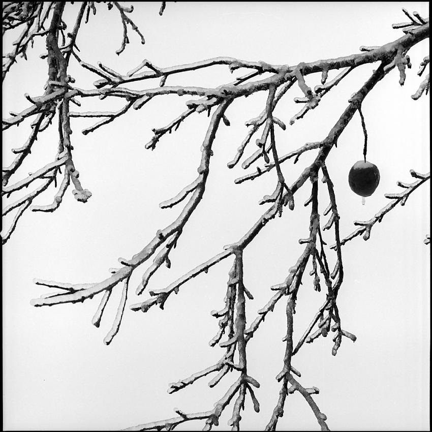 Chinese Painting