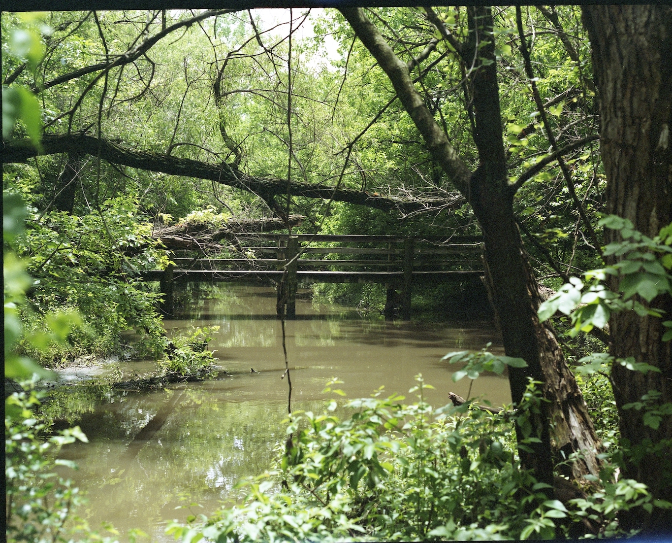 Chisolm Creek