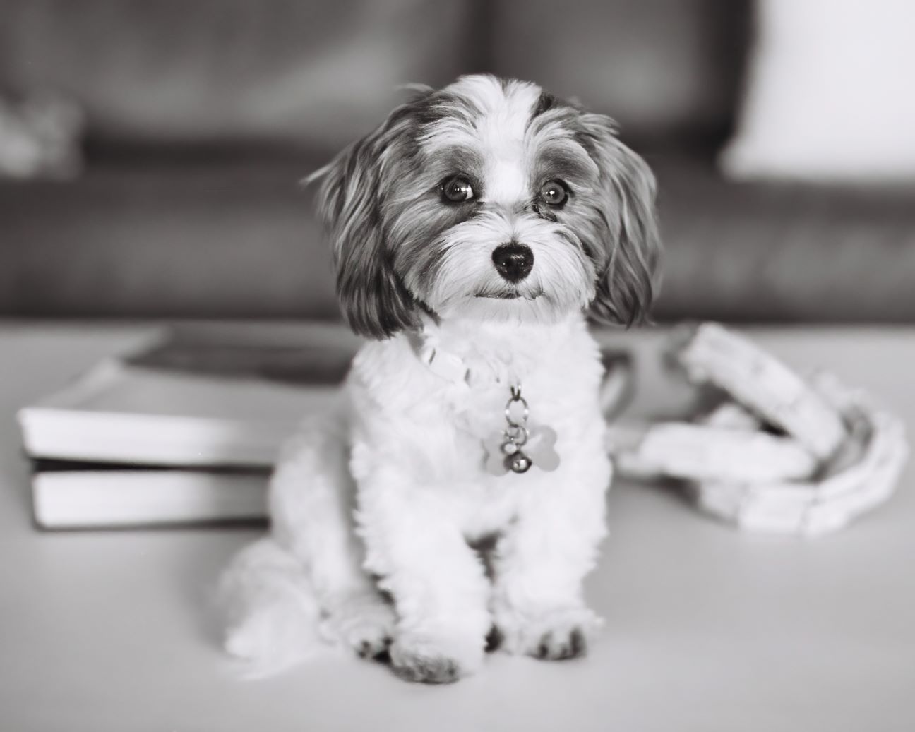 Chloe