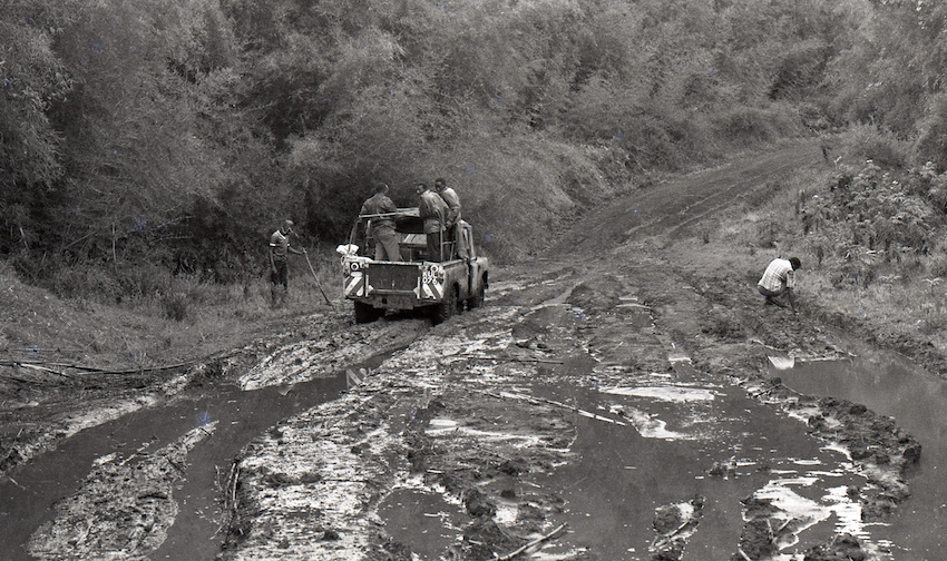 Chogoria, Mount Kenya 1994 circa 6,000ft