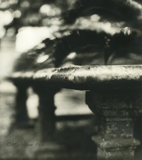 Christ Church Bench