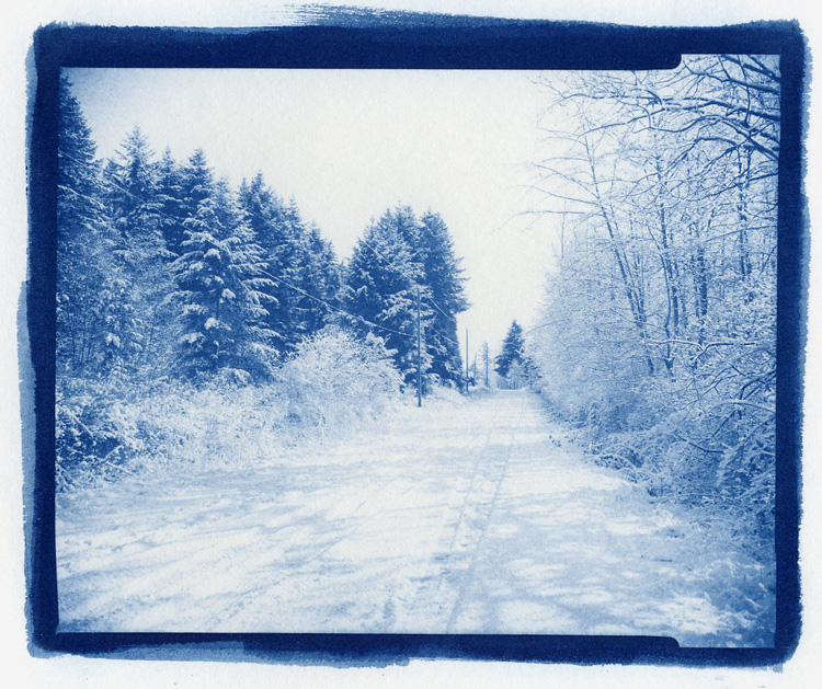 Christmas  Card Cyanotype
