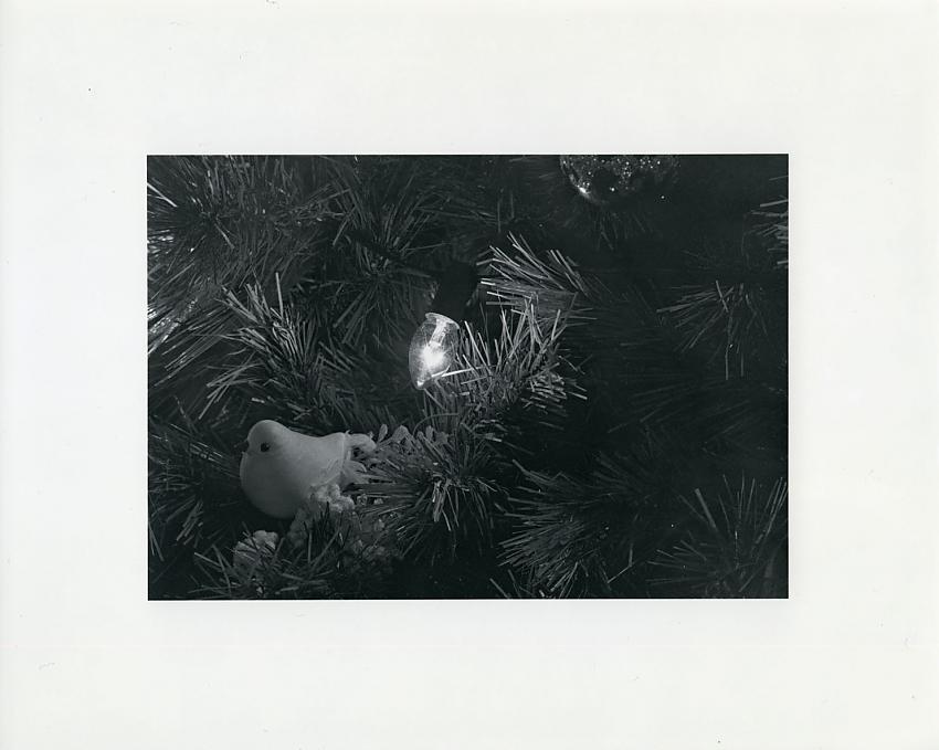 Christmas Light