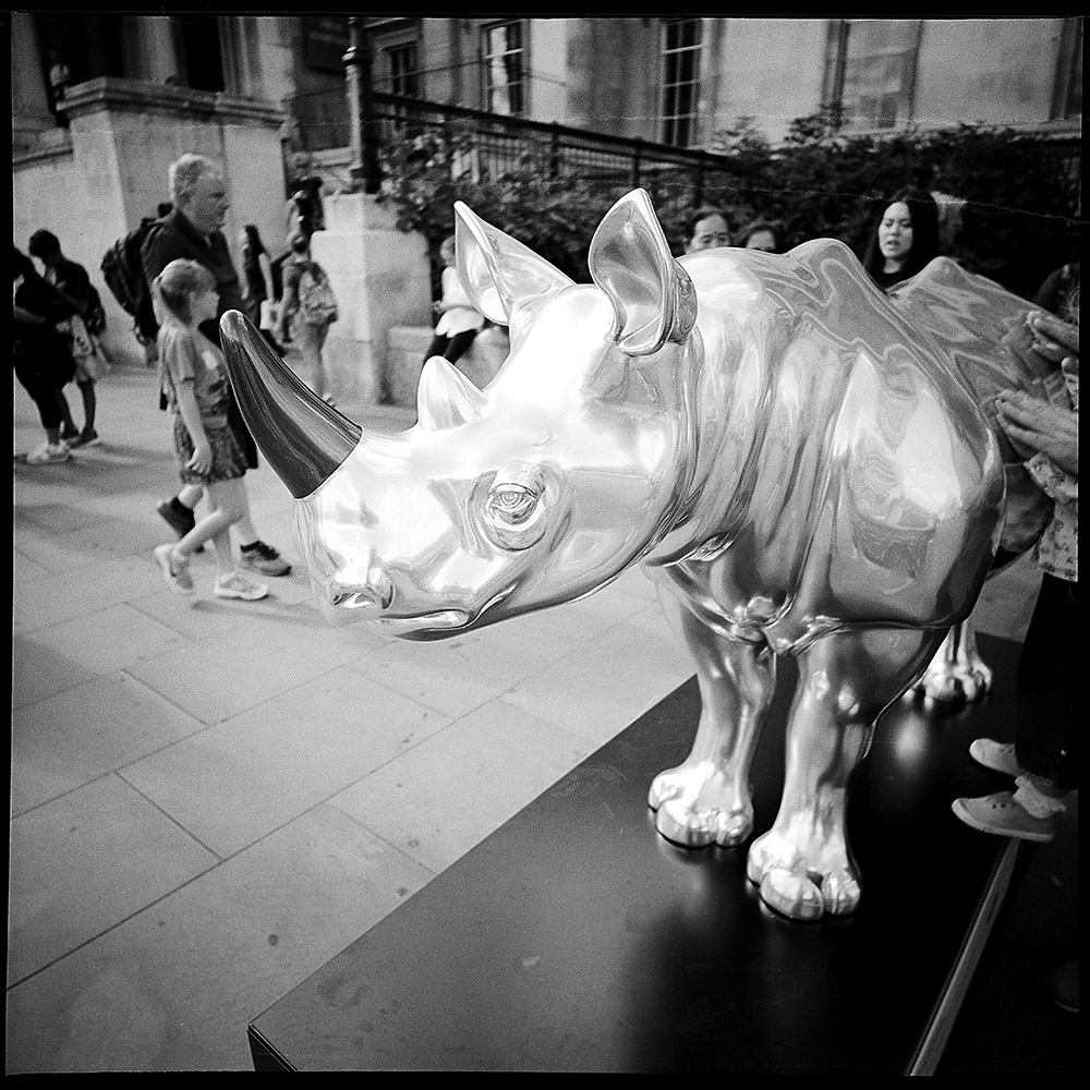 Chrome Rhino, National Gallery, London
