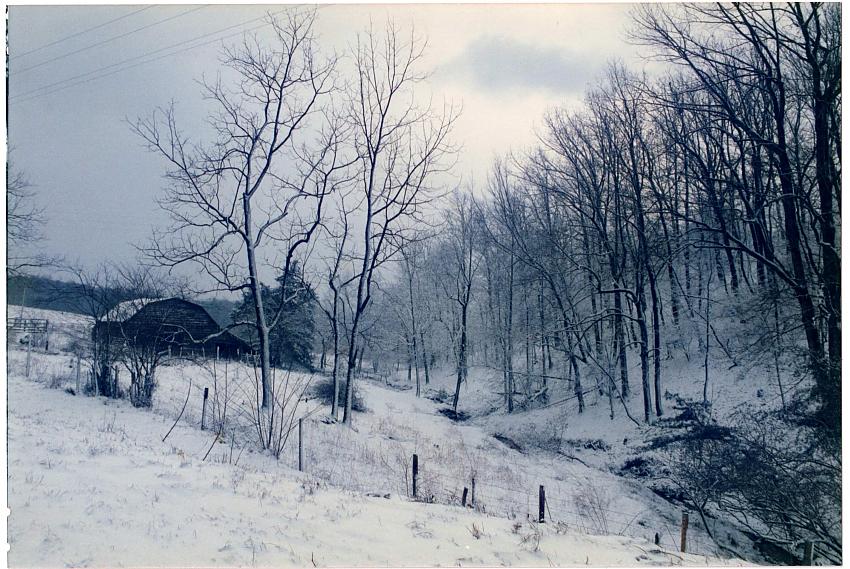 Ciba Snow.