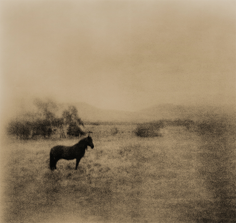 Cimarron