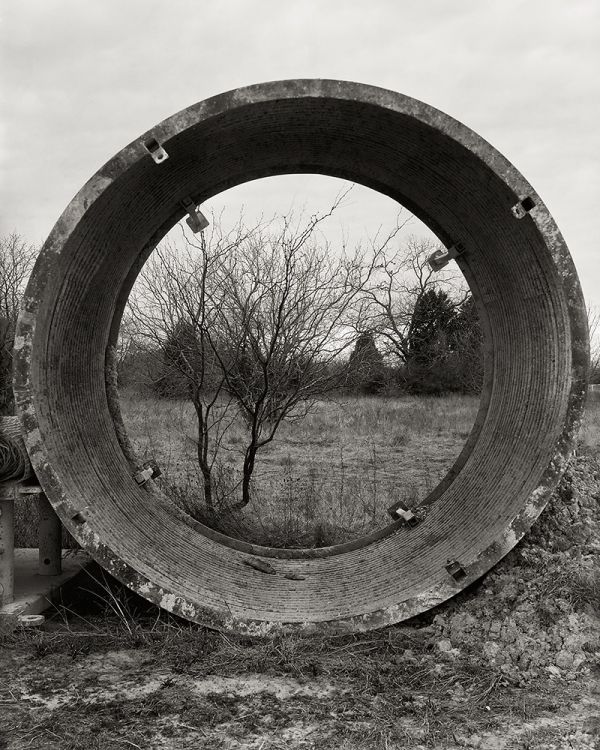 Circle & Tree