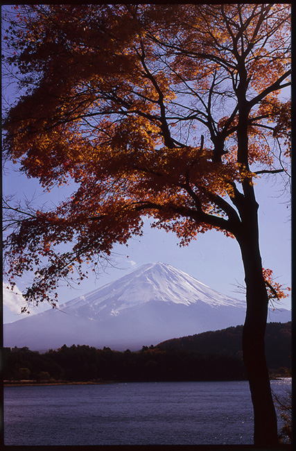 Classic Fuji