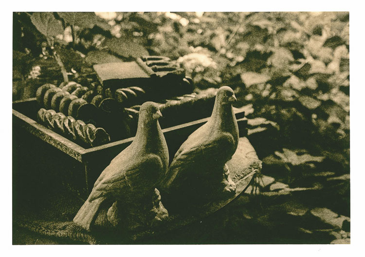 Clay Pigeons