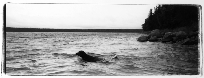 Clear Lake, 2008