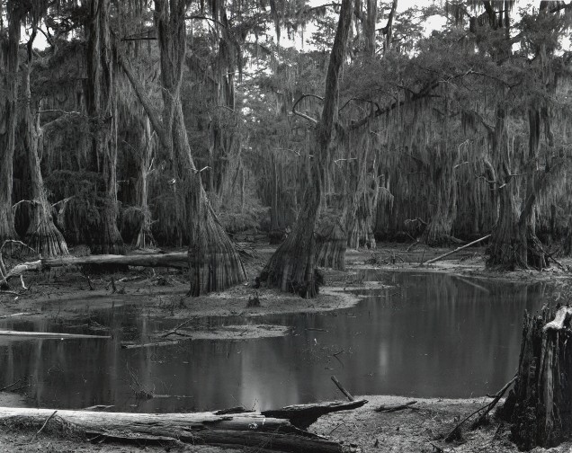 Clear Lake, Louisiana, 2001