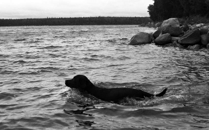 Clear Lake