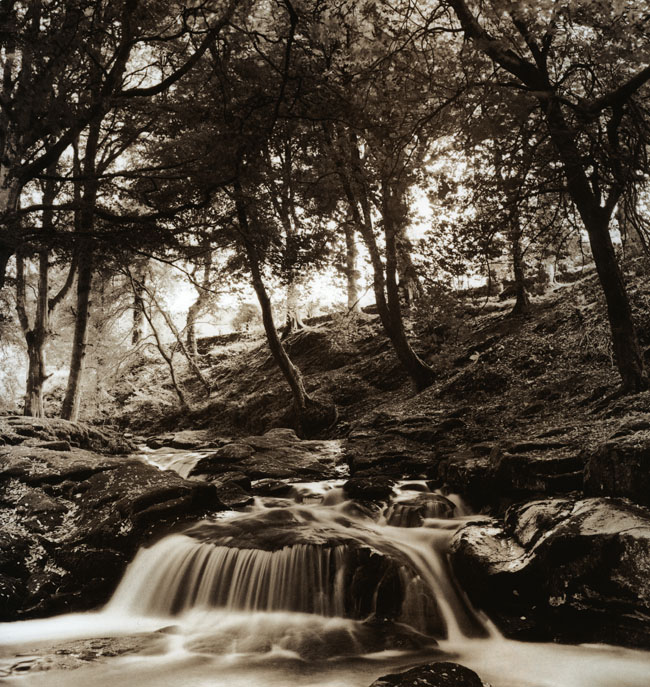 Cloghleagh Wicklow