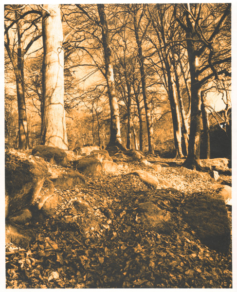 Cloghleagh