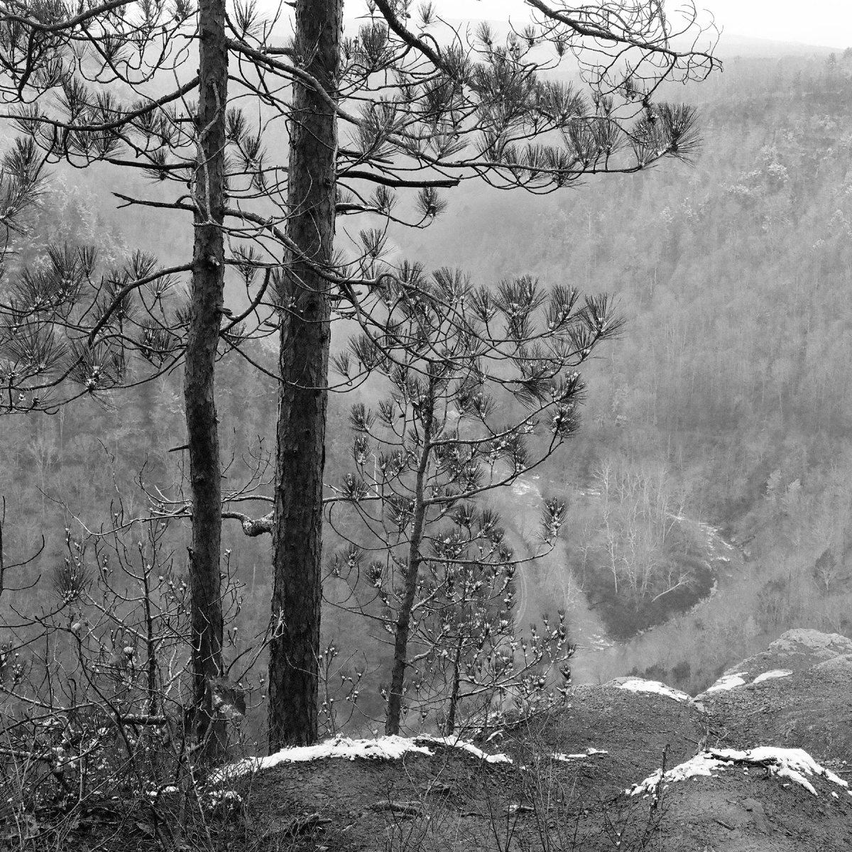 Close To The Edge #1