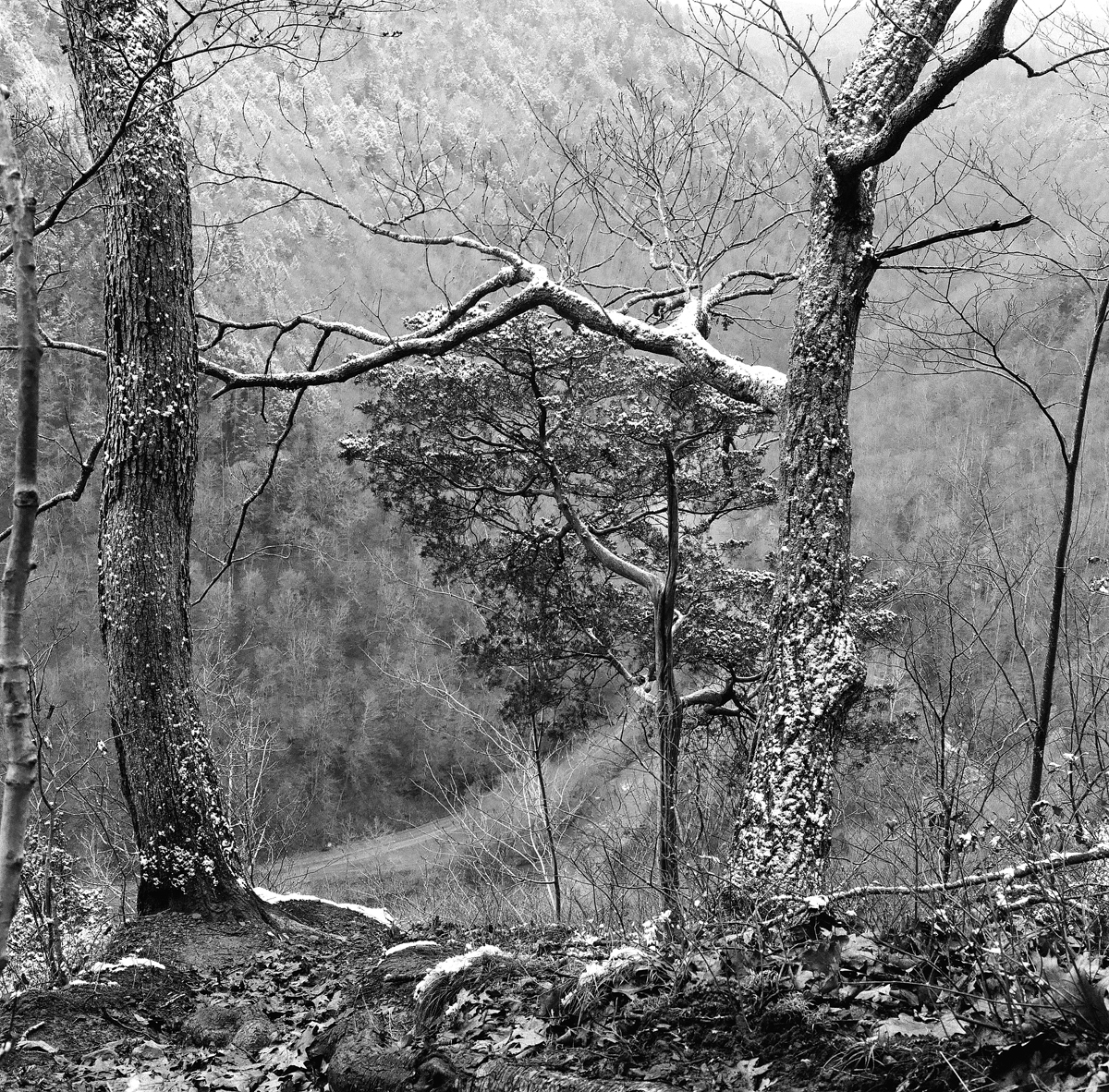 Close To The Edge #2