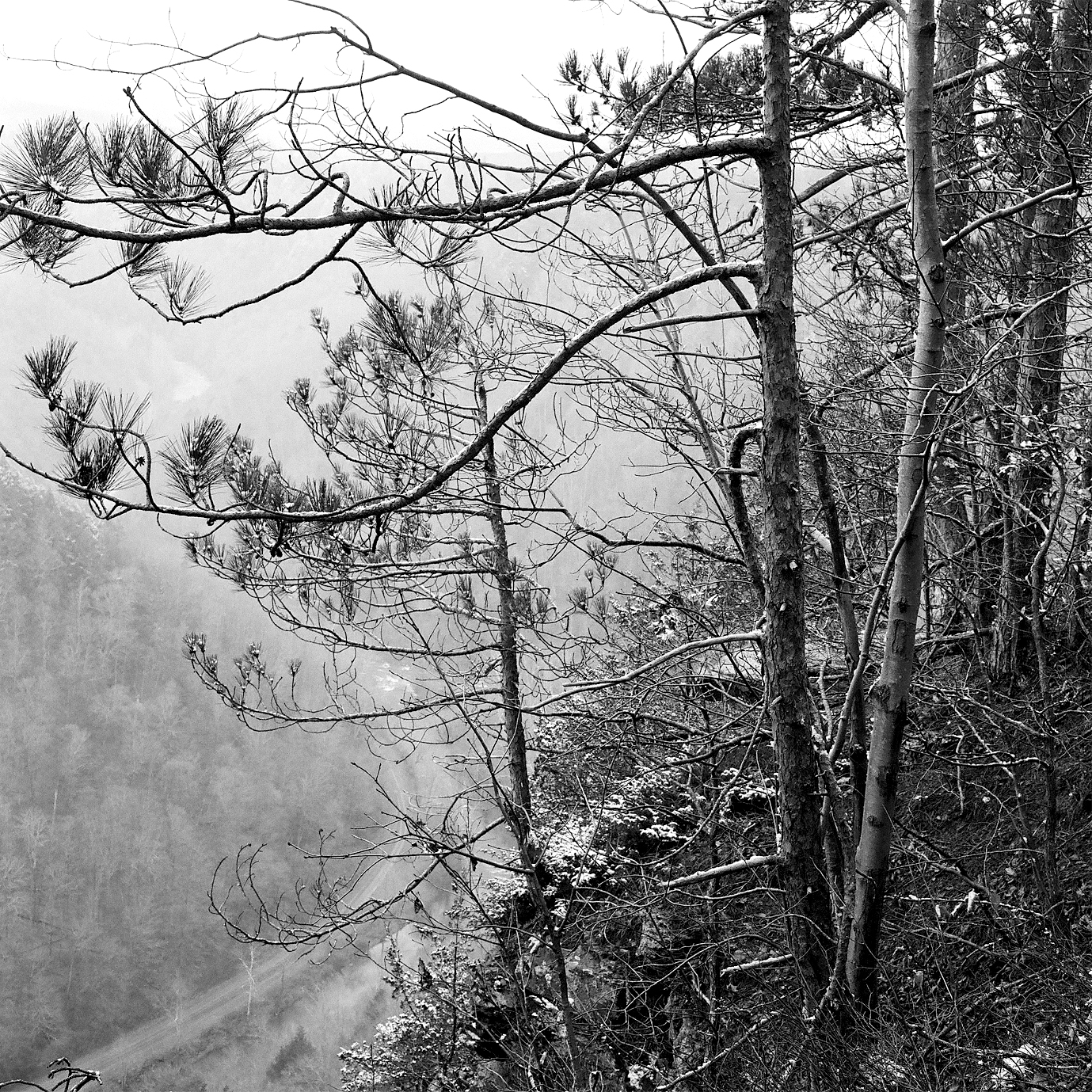 Close To The Edge #3