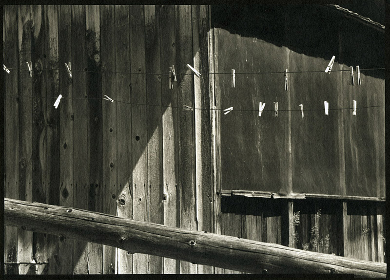 Clothesline, Riddle Bros. Ranch, Steens Mt.