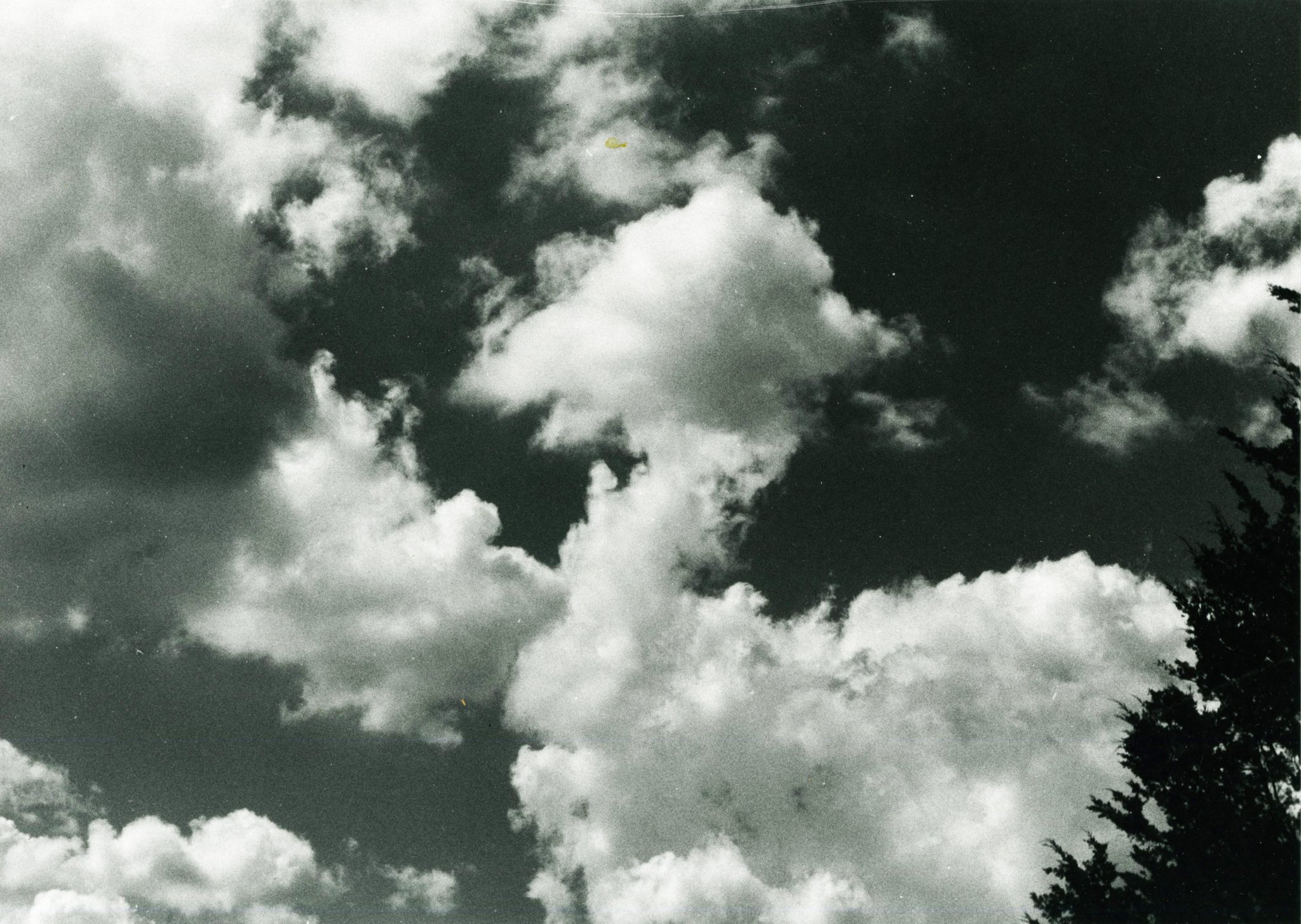 Clouds-Duck-002