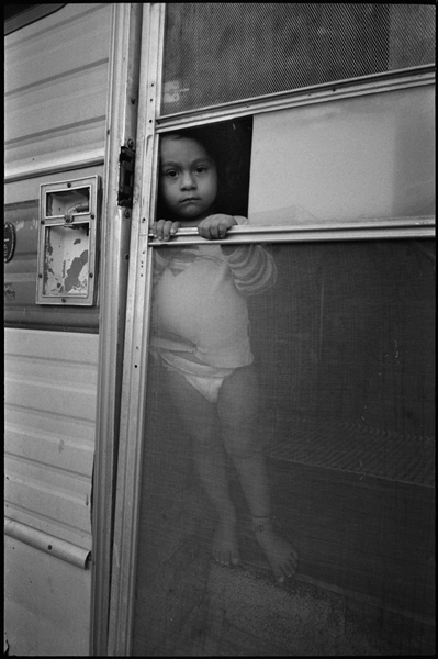 clown's daughter III