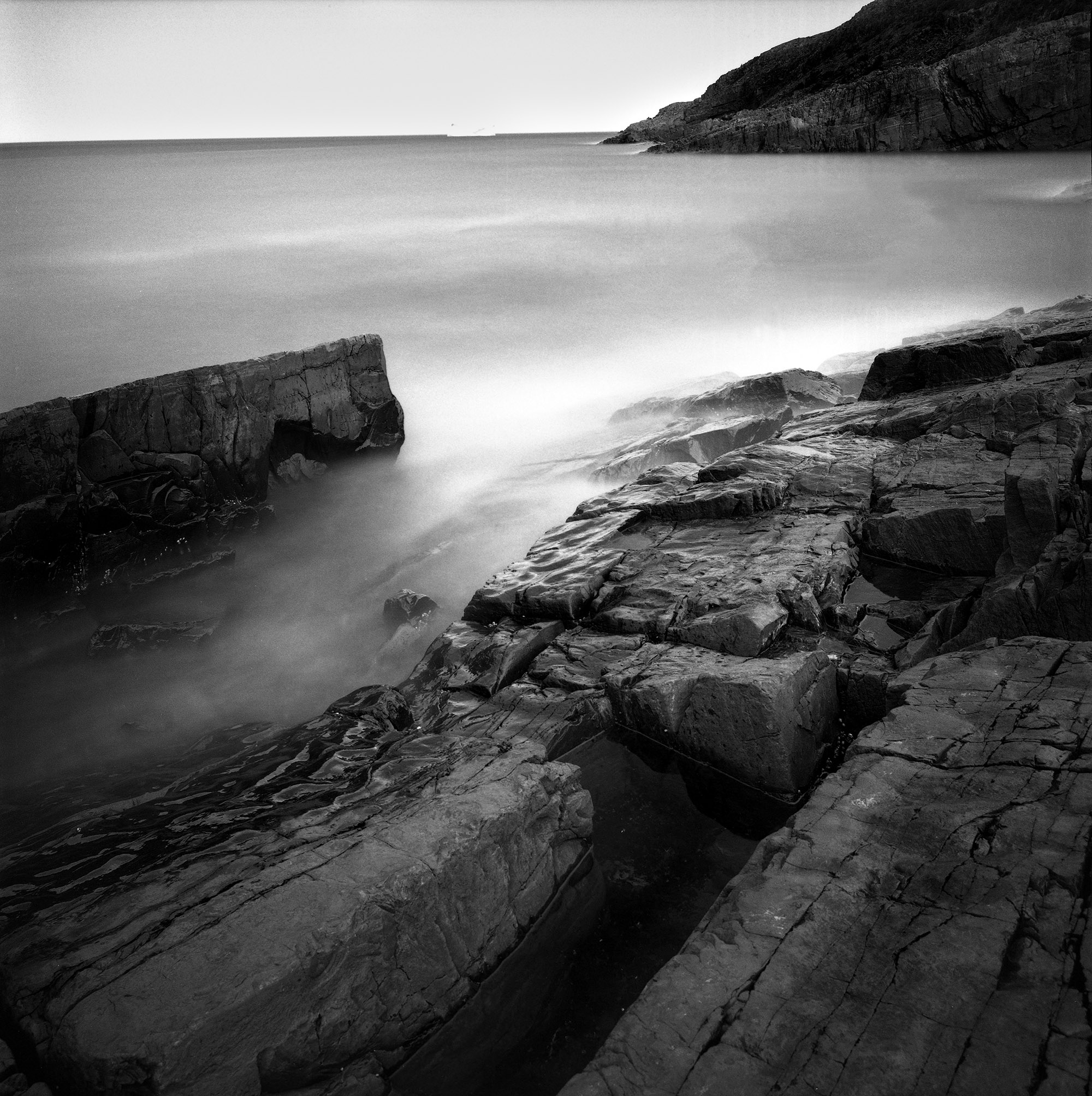Coast of Newfoundland