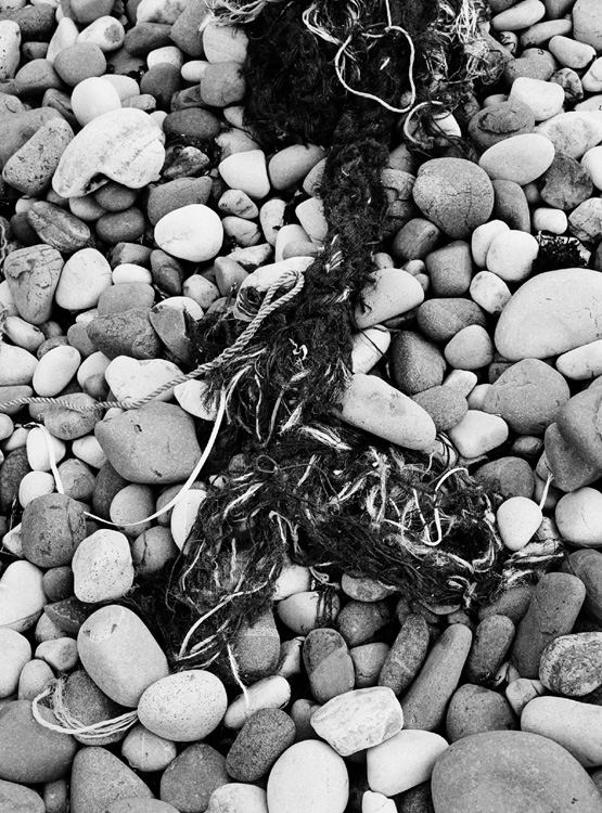 Coastal Debris, Skye