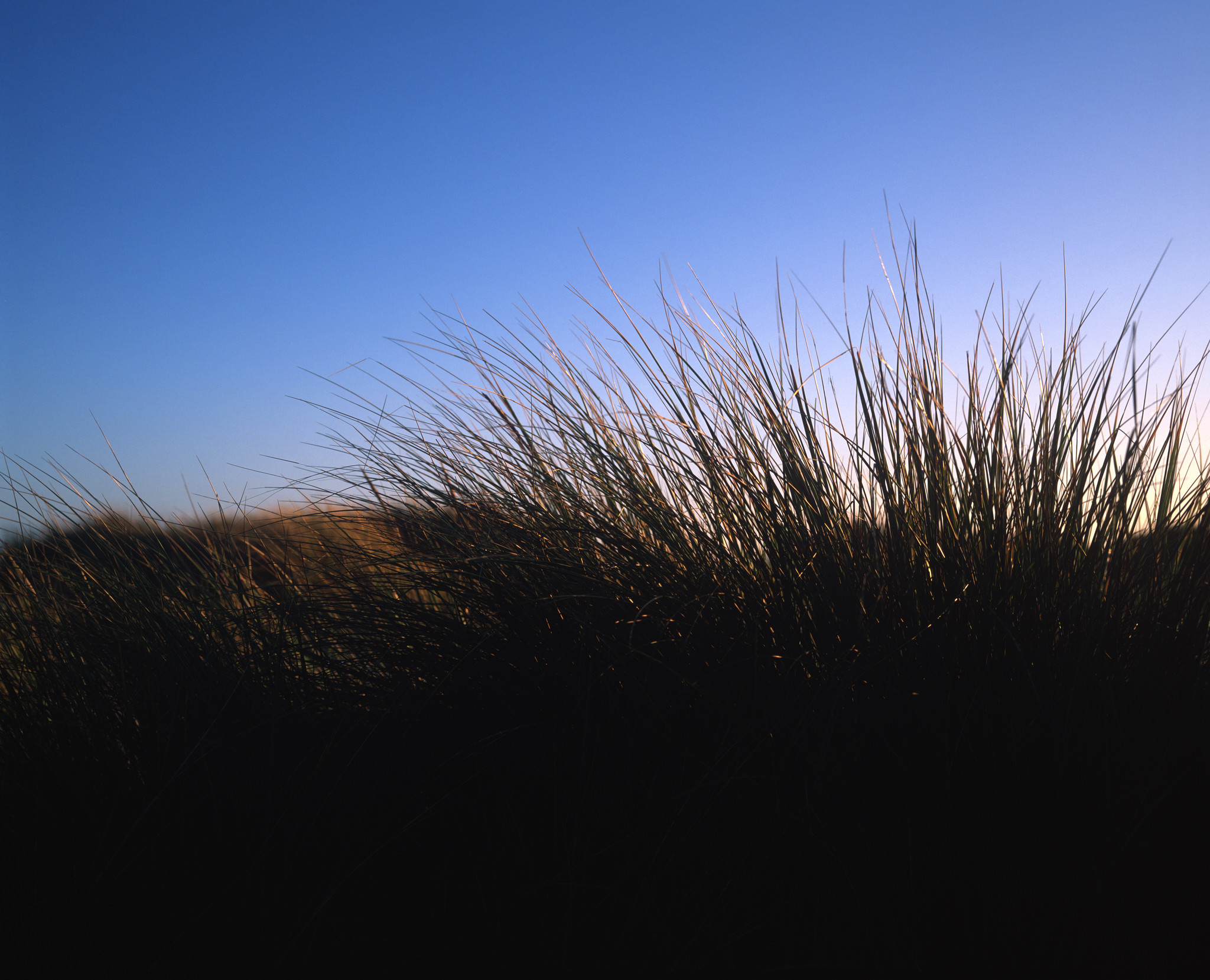 Coastal silhouette