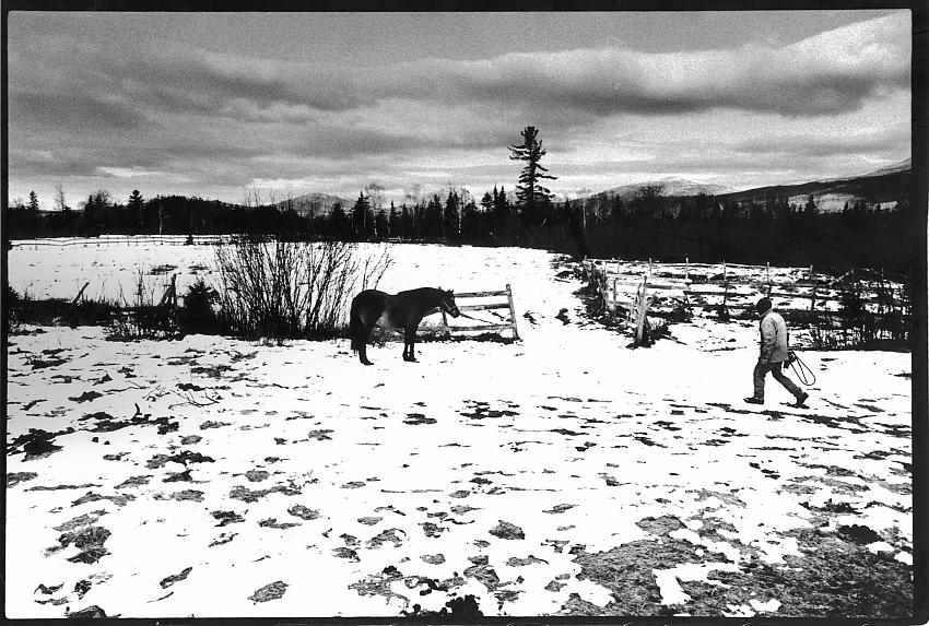 Cochese and Hoss