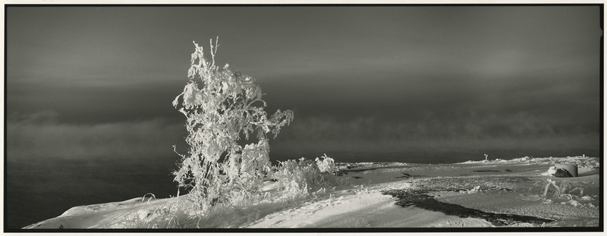 Cold And Alone Ii