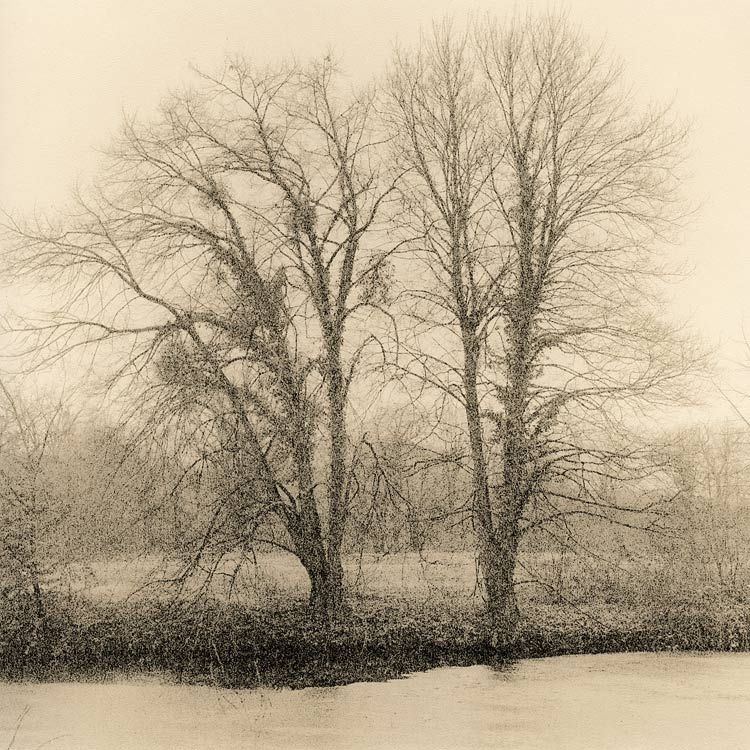 Cold And Misty Morning