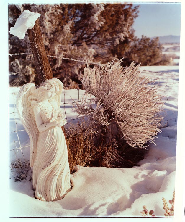Cold Angel