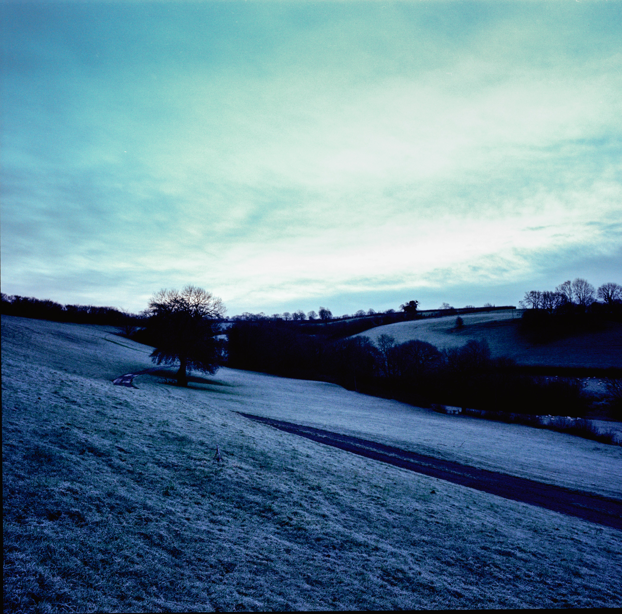 Cold Winter's Day