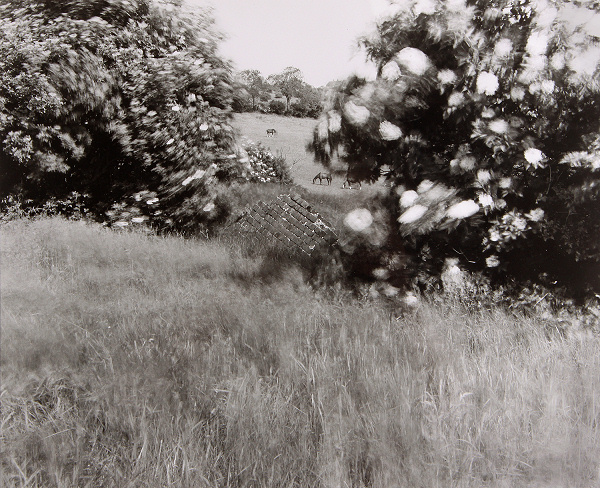 Colliery Remanins, Warrens Hall