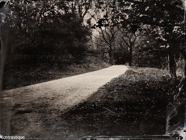Collodion Landscape 2