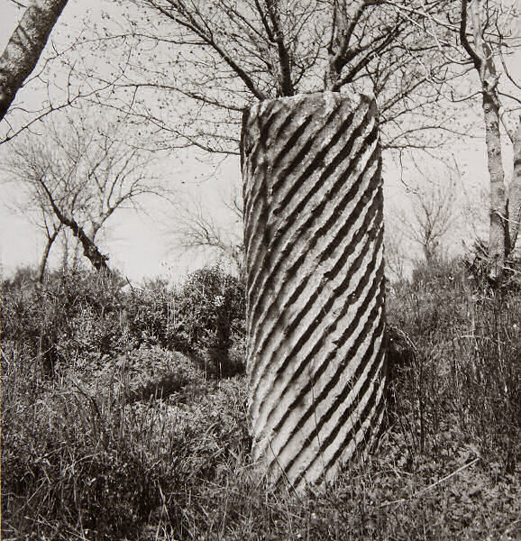 Column - Aprodisias