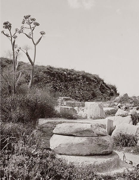 Column Remains
