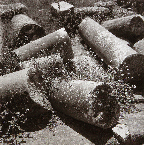Columns, Ephesus